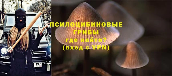 MESCALINE Аркадак