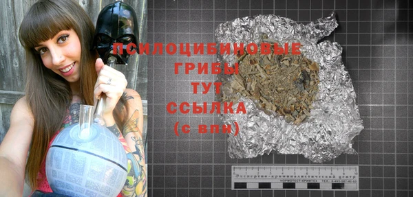 MESCALINE Аркадак
