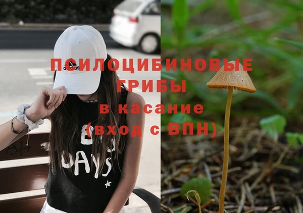 MESCALINE Аркадак