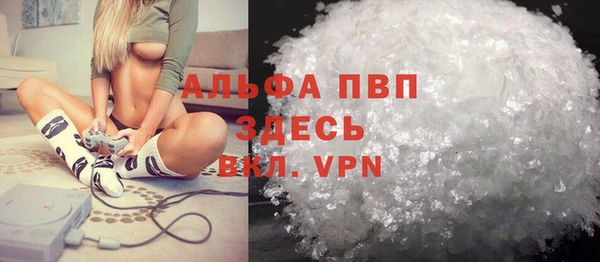 прущие грибы Семикаракорск
