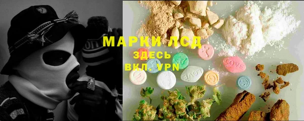 ПСИЛОЦИБИНОВЫЕ ГРИБЫ Балабаново